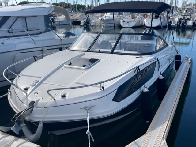 651651316